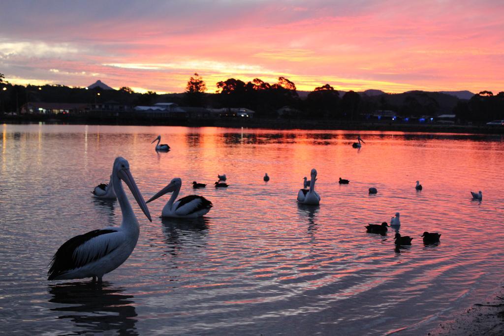 Holiday Haven Burrill Lake Екстер'єр фото